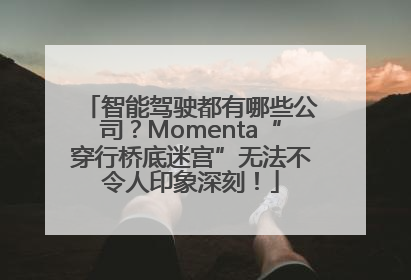 智能驾驶都有哪些公司？Momenta“穿行桥底迷宫”无法不令人印象深刻！